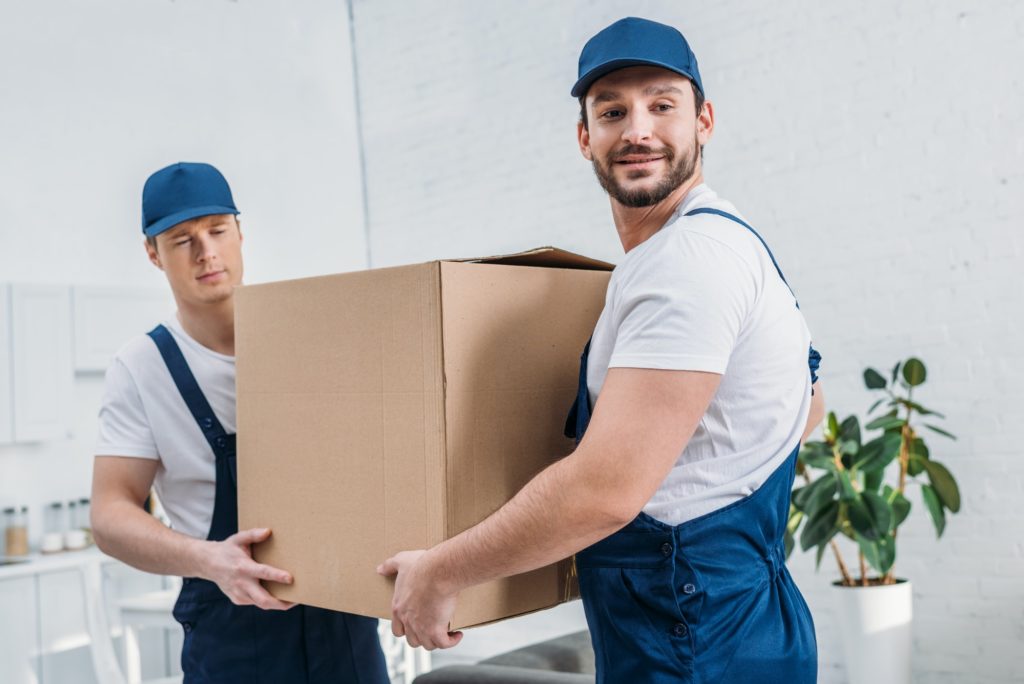two handsome movers transporting cardboard box in apartment
